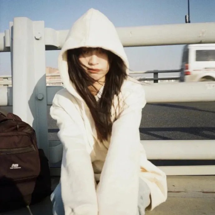 刑事侦缉档案4国语